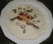 Austernpilzsuppe mit